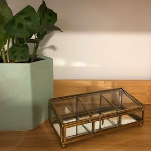 Urban Outfitters/Anthropologie Glass Jewelry Box